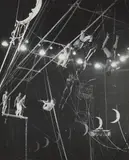 Harold Eugene Edgerton, Circus trapeze acts