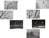 Harry Callahan, Selected Images