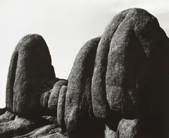Natural Forms, Granite Dells, Arizona by Aaron Siskind, 1949, Gelatin silver print, printed no later than 1964, sold Oct 2014