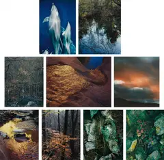 Selected Images by Eliot Porter, 1957-1984, Twelve dye transfer prints, sold Oct 2014
