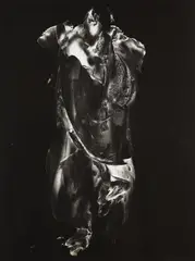 Frederick Sommer, Paracelsus, 1960, Gelatin silver print