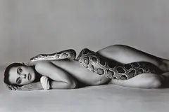 Richard Avedon, Nastassja Kinski and the Serpent, Los Angeles, California, June 14, 1981, Gelatin silver print