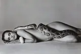 Richard Avedon, Nastassja Kinski and the Serpent, Los Angeles, California, June 14