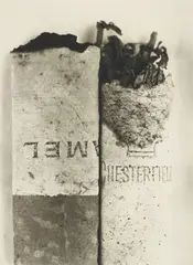 Cigarette No. 37 by Irving Penn, 1974, Platinum-palladium print, offered Oct 2014