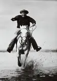 Irving Penn, French Horseman