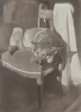 Heinrich Kühn, Untitled (Dog in sunlight on chair)