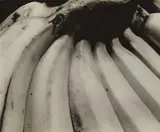 Edward Weston, Bananas