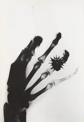 Giving Hand by Manuel Álvarez Bravo, 1940s, Gelatin silver print, printed later, offered Oct 2014