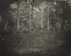 Untitled (Cold Harbor #27) by Sally Mann, 2002, Gelatin silver print, flush-mounted, sold Oct 2014