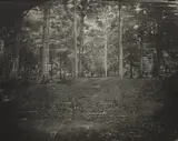 Sally Mann, Untitled (Cold Harbor #27)