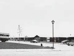 Untitled by Robert Adams, circa 1970, Gelatin silver print, sold Oct 2014