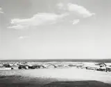 Robert Adams, Untitled