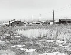 Untitled by Robert Adams, circa 1970, Gelatin silver print, sold Oct 2014
