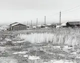 Robert Adams, Untitled