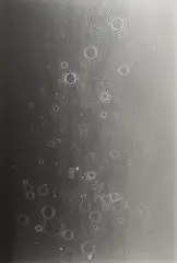 Adam Fuss, Untitled, 2007, Gelatin silver photogram
