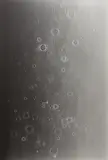 Adam Fuss, Untitled, 2007, Gelatin silver photogram