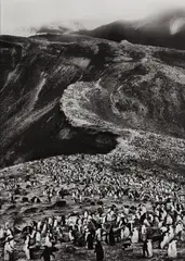 Chinstrap Penguins (Pygoscelis Antarctica), Deception Island, Antarctica by Sebastião Salgado, 2005, Gelatin silver print, printed 2007, sold Oct 2014