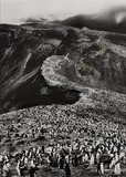 Chinstrap Penguins (Pygoscelis Antarctica), Deception Island, Antarctica by Sebastião Salgado, 2005, Gelatin silver print, printed 2007, sold Oct 2014
