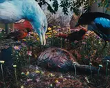 Gregory Crewdson, Untitled from Natural Wonder, 1997, Chromogenic print, flush-mounted