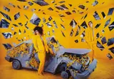 Sandy Skoglund, The Lost and Found