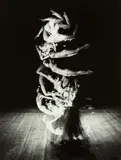 Harold Eugene Edgerton, Tumblers