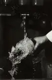 Harold Eugene Edgerton, Tap Water Splashing from a Glass