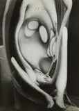 Untitled (Distortion #117) by André Kertész, 1933, Gelatin silver print, sold Dec 2014