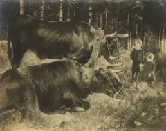 Gertrude Käsebier, Yoked and Muzzled - Marriage, 1915 or earlier, Gelatin silver print on tissue