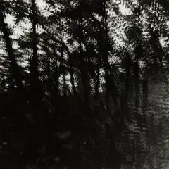 Untitled by Ralph Eugene Meatyard, n.d., Gelatin silver print, sold Dec 2014