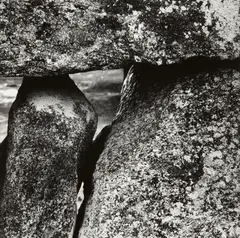 Martha's Vineyard 76 by Aaron Siskind, 1972, Gelatin silver print, sold Dec 2014
