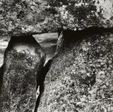 Aaron Siskind, Martha's Vineyard 76