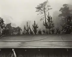 7 a.m. Pacific War Time by Edward Weston, 1945, Gelatin silver print from The Photographs of Edward Weston , printed circa 1953 by Brett Weston, sold Dec 2014