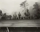 Edward Weston, 7 a.m. Pacific War Time