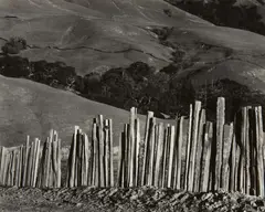 Edward Weston, Fence, Old Road, Big Sur, 1935, Gelatin silver print from The Photographs of Edward Weston , printed circa 1953 by Brett Weston
