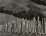Edward Weston, Fence, Old Road, Big Sur, 1935, Gelatin silver print from The Photographs of Edward Weston , printed circa 1953 by Brett Weston