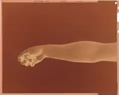 Douglas Gordon, Never, Never (White, negative), 2000, digital c-print, flush-mounted on Sintra