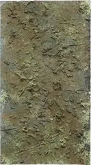 Augustus Goertz, Field of Play, 2011, mixed media on canvas