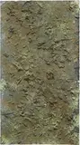 Augustus Goertz, Field of Play, 2011, mixed media on canvas