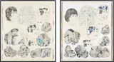 Carter, Untitled, 2005, acrylic ink, pencil, and hand marbled paper collage, on paper, in two parts