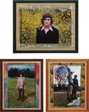 Ed Templeton, Three Works: Untitled, 2003, ink on c-print, in artist's wood frame