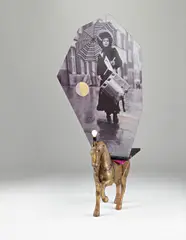 Lothar Hempel, Vorwärts (Forward), 2006, MDF, photographic paper, wood, paint, metal and light bulb