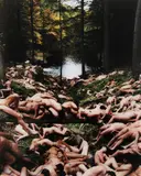 Spencer Tunick, Pennsylvania 3, 2004/2006, c-print, Diasec-mounted
