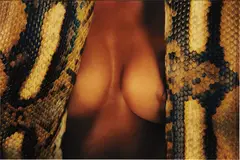 Ryan McGinley, Brandee (Boa), 2012, c-print, Diasec-mounted