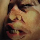 Closed Contact #16 by Glen Luchford and Jenny Saville, 1995-1996, c-print, Diasec-mounted, offered Mar 2013