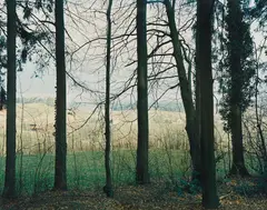 Am Eschberg - no. 15, Winterthur by Thomas Struth, 1993, color coupler print, sold Mar 2013