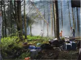 Production Still, Forest Gathering #1 (from Beneath the Roses) by Gregory Crewdson, 2003, digital c-print, sold Mar 2013