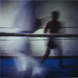 Miguel Rio Branco, Swift on Blue