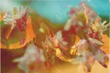 Peter Fischli and David Weiss, Untitled