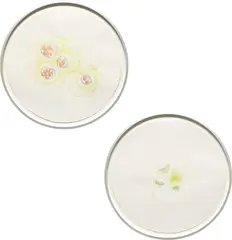 Mariko Mori, Two Works: i) Connected World (Drawing II); ii) Connected World (Drawing III), 2000, pastel and watercolor on paper, in artist's aluminum frame