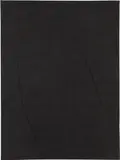 Gary Hume, Leg, 2004, charcoal and chalk on canvas